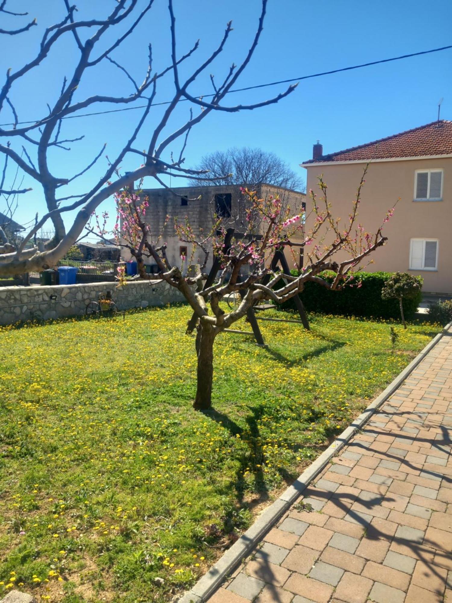 Apartmani Goga Biograd Na Moru Exterior foto