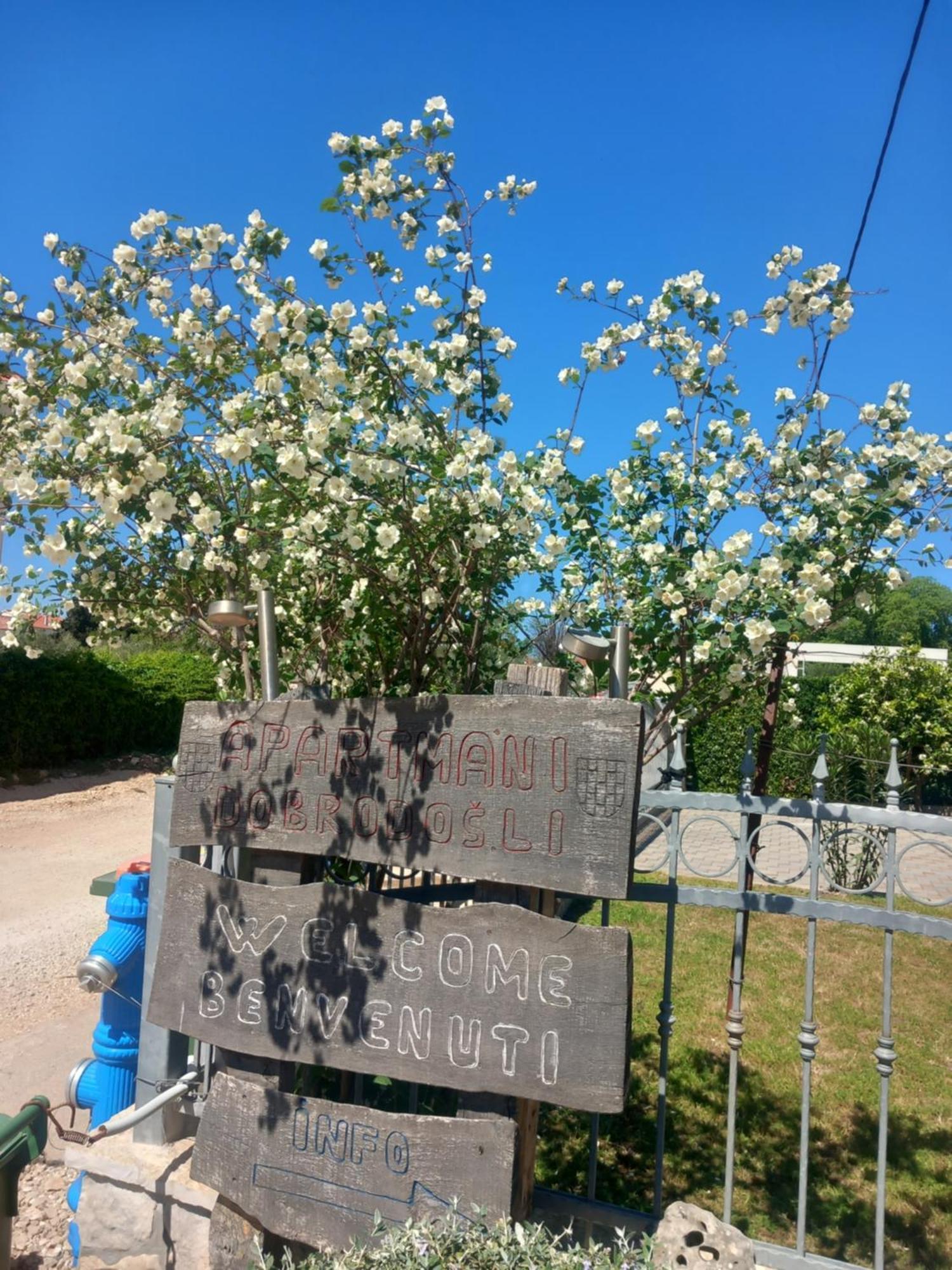 Apartmani Goga Biograd Na Moru Exterior foto
